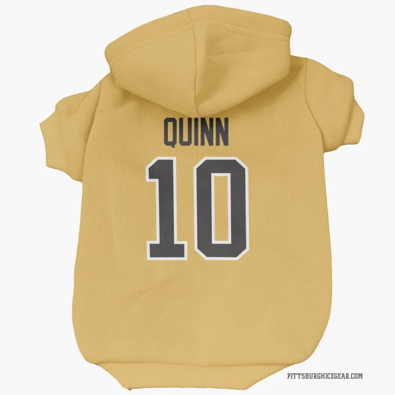 Dan Quinn  Gold Pittsburgh Penguins  Cat & Dog Pet Hoodie
