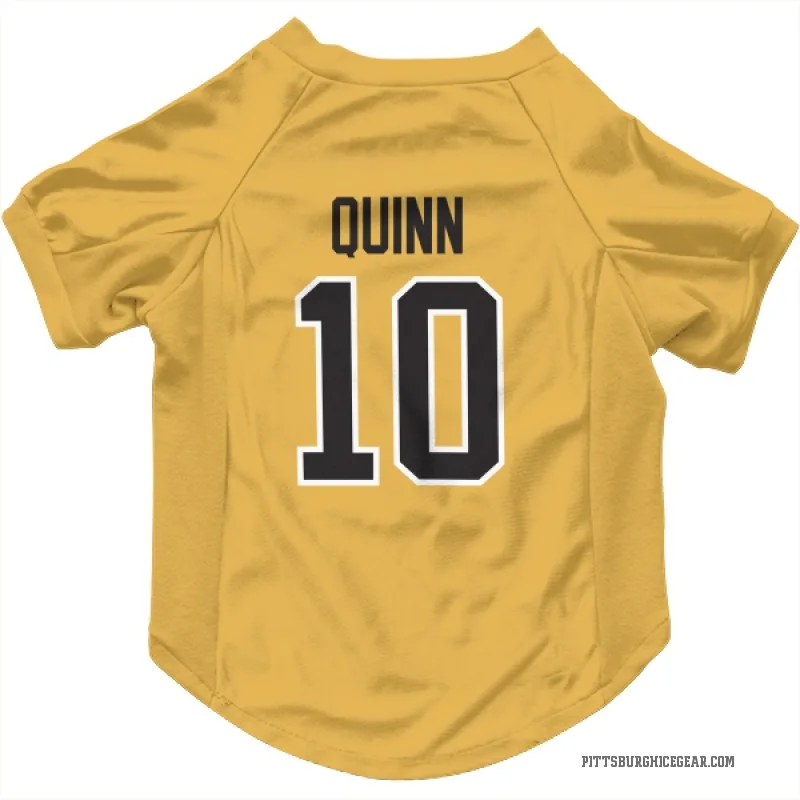 Dan Quinn  Gold Pittsburgh Penguins  Cat & Dog Pet Jersey