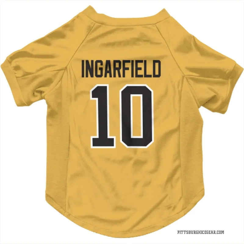 Earl Ingarfield  Gold Pittsburgh Penguins  Cat & Dog Pet Jersey