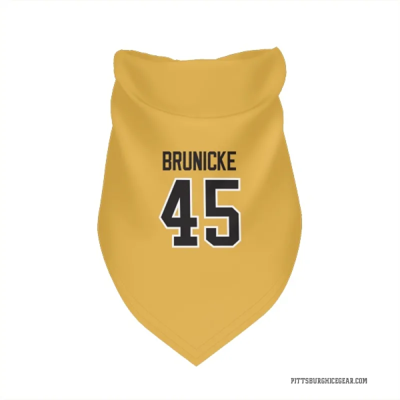 Harrison Brunicke  Gold Pittsburgh Penguins  Cat & Dog Pet Bandana