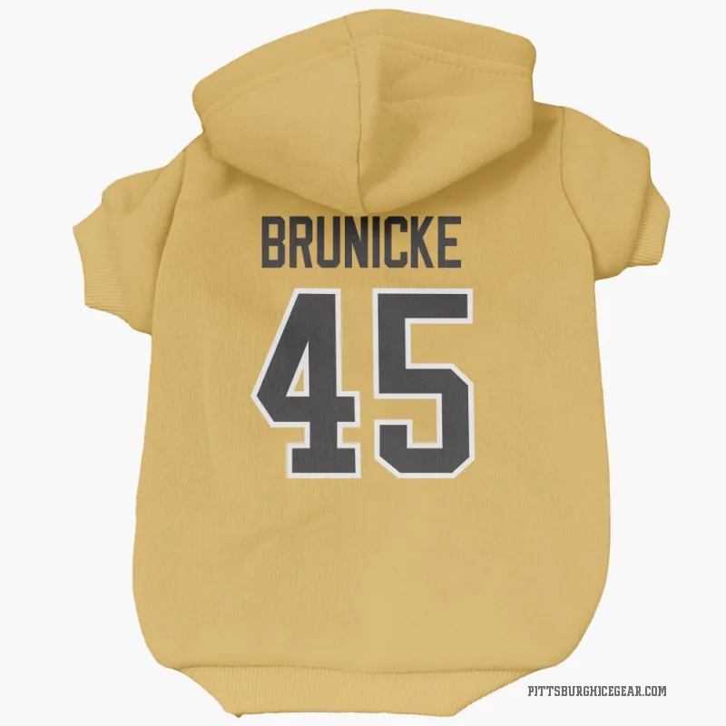 Harrison Brunicke  Gold Pittsburgh Penguins  Cat & Dog Pet Hoodie