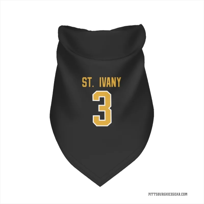 Jack St. Ivany  Black Pittsburgh Penguins  Cat & Dog Pet Bandana