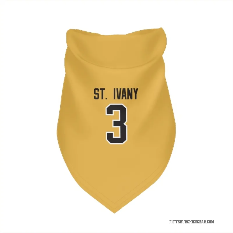 Jack St. Ivany  Gold Pittsburgh Penguins  Cat & Dog Pet Bandana