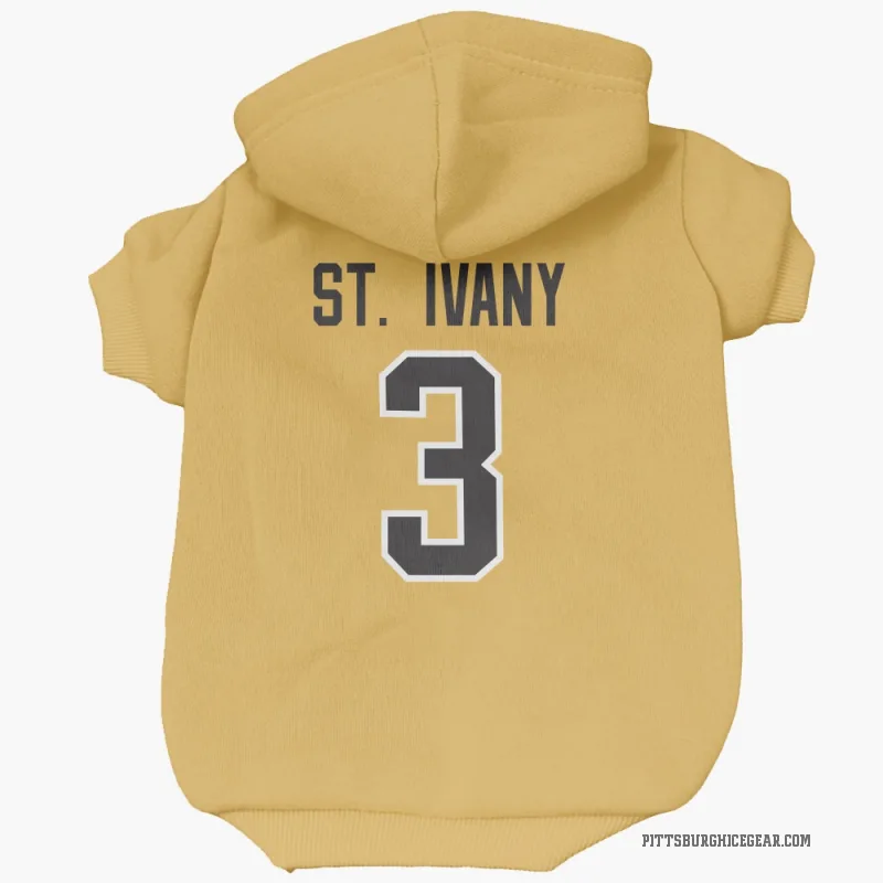 Jack St. Ivany  Gold Pittsburgh Penguins  Cat & Dog Pet Hoodie