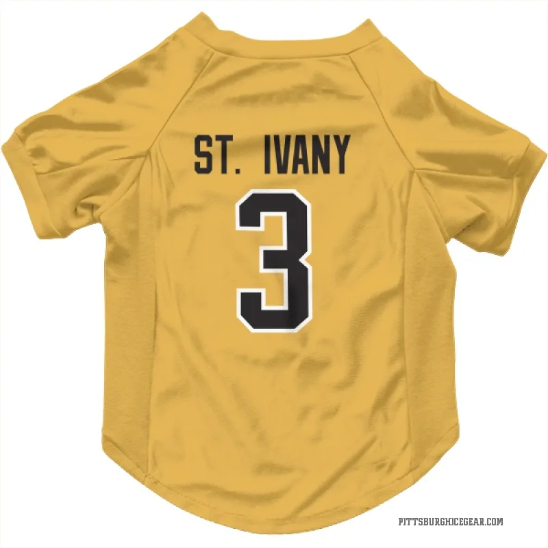 Jack St. Ivany  Gold Pittsburgh Penguins  Cat & Dog Pet Jersey