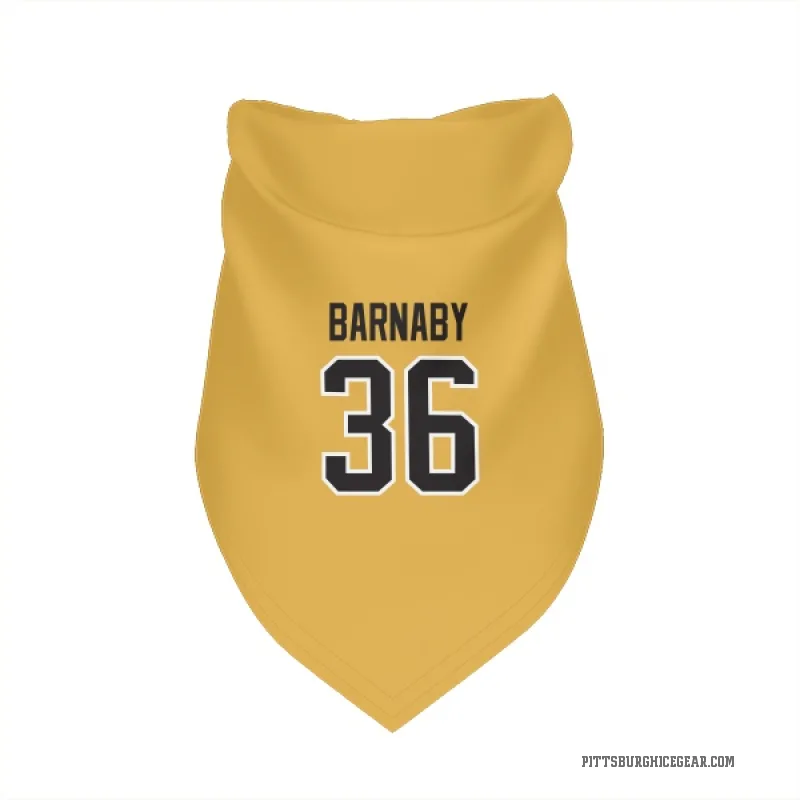Matthew Barnaby  Gold Pittsburgh Penguins  Cat & Dog Pet Bandana