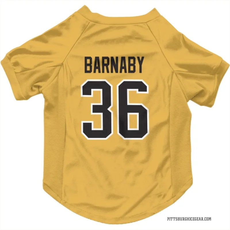 Matthew Barnaby  Gold Pittsburgh Penguins  Cat & Dog Pet Jersey