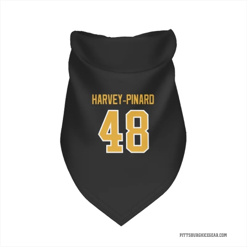Rafael Harvey-Pinard Black Pittsburgh Penguins Cat & Dog Pet Bandana