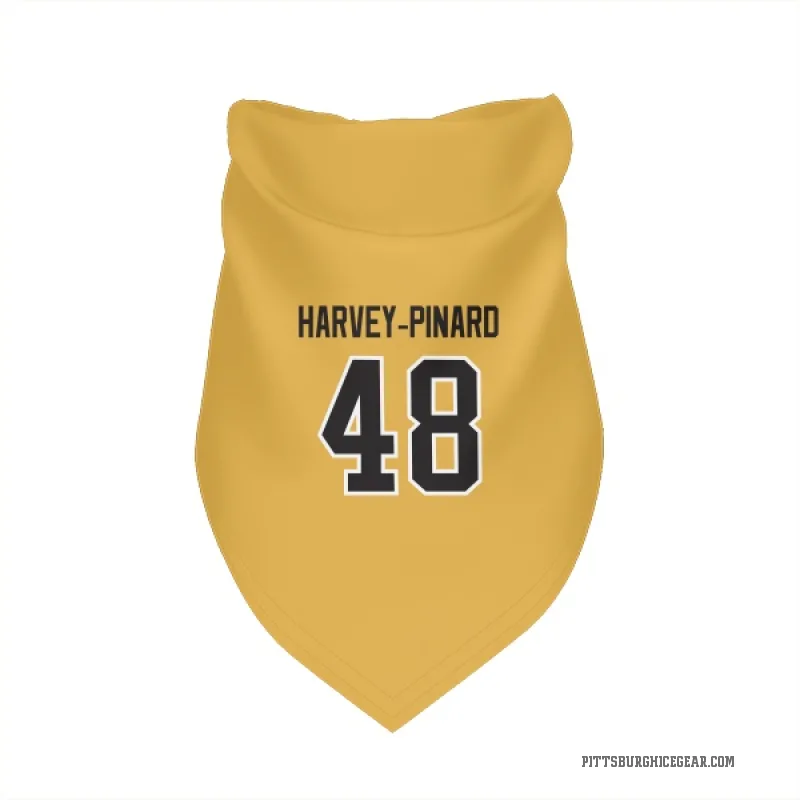 Rafael Harvey-Pinard Gold Pittsburgh Penguins Cat & Dog Pet Bandana