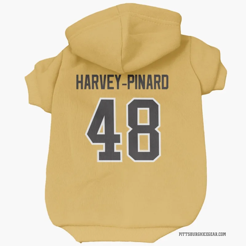 Rafael Harvey-Pinard Gold Pittsburgh Penguins Cat & Dog Pet Hoodie
