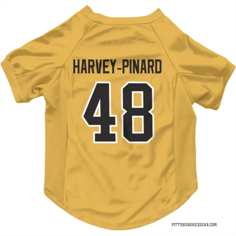 Rafael Harvey-Pinard Gold Pittsburgh Penguins Cat & Dog Pet Jersey