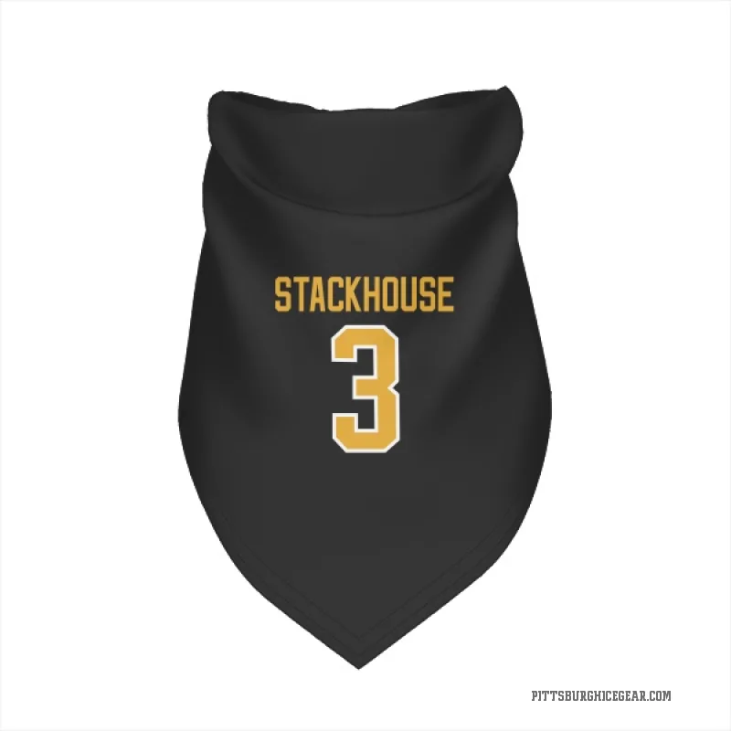 Ron Stackhouse  Black Pittsburgh Penguins  Cat & Dog Pet Bandana