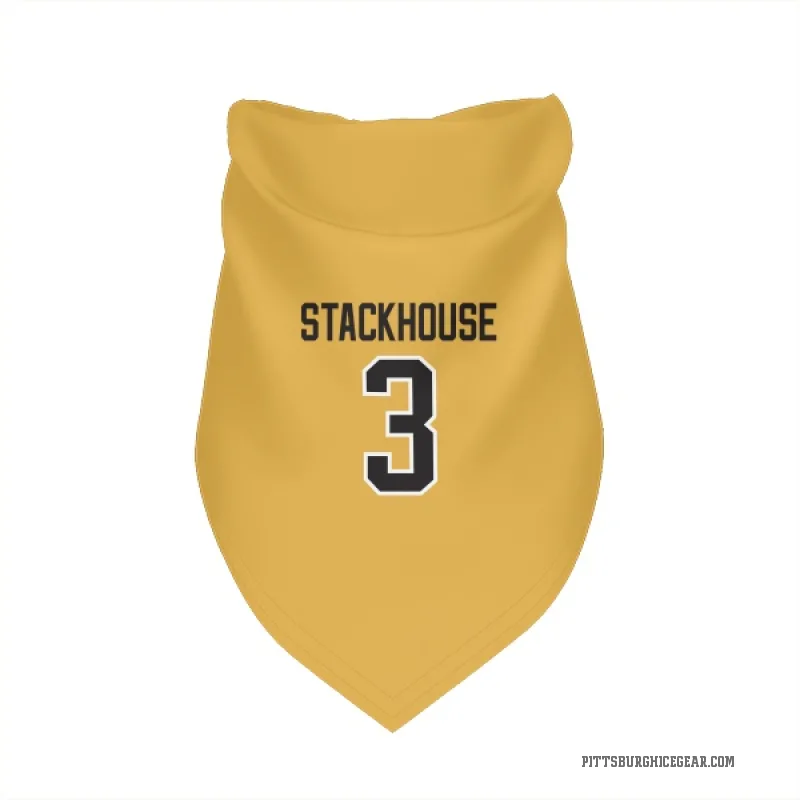 Ron Stackhouse  Gold Pittsburgh Penguins  Cat & Dog Pet Bandana