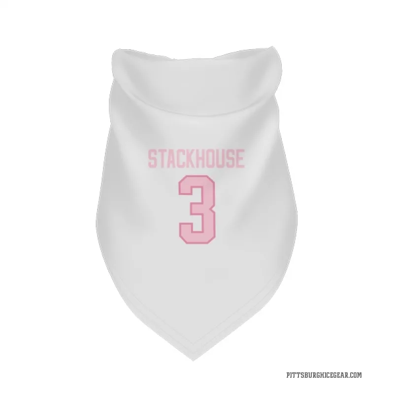 Ron Stackhouse  White Pink Pittsburgh Penguins  Cat & Dog Pet Bandana