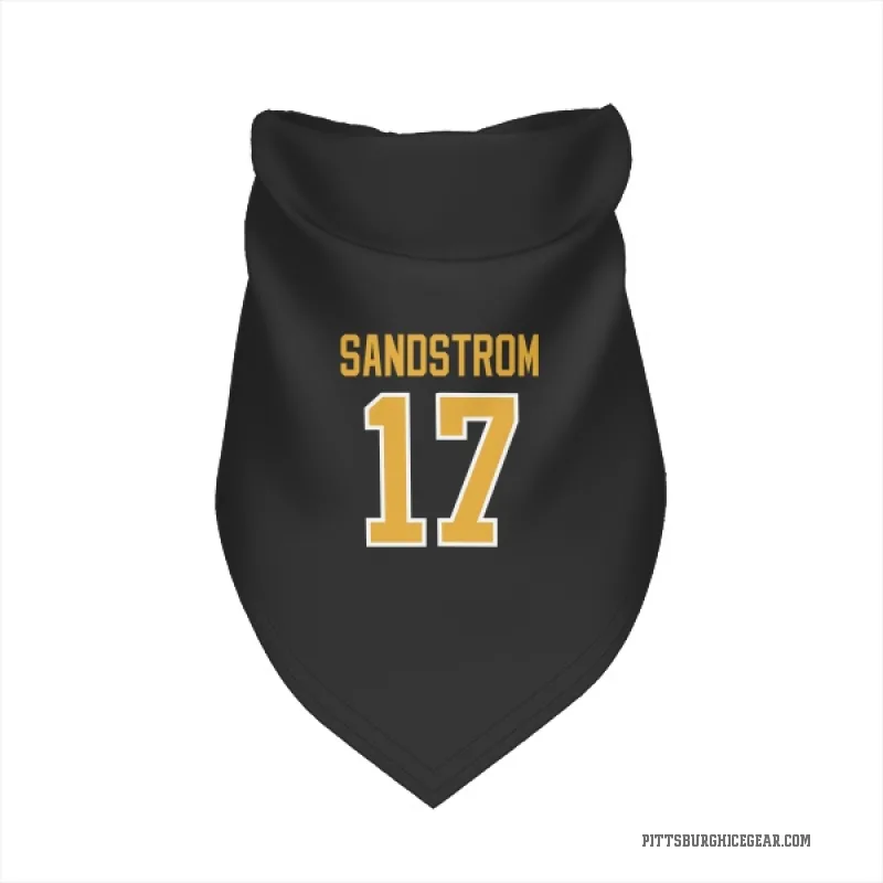 Tomas Sandstrom  Black Pittsburgh Penguins  Cat & Dog Pet Bandana