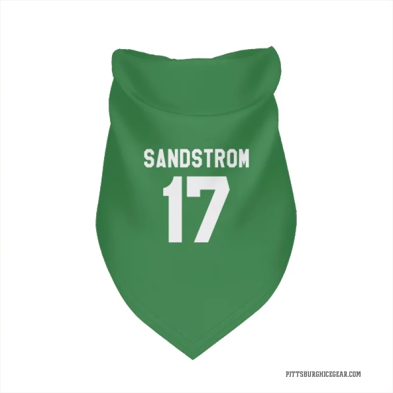 Tomas Sandstrom  Green Pittsburgh Penguins  Cat & Dog Pet Bandana